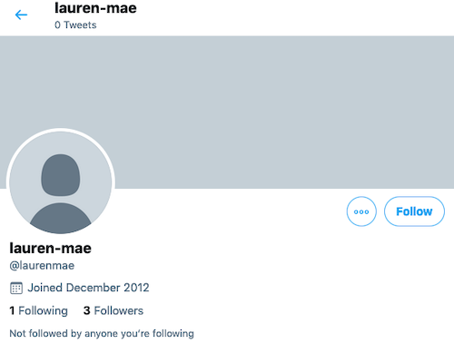 Screenshot of @laurenmae Twitter, the account currently sitting on Lauren Mae handle 