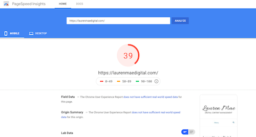 site speed with PageSpeed Insights
